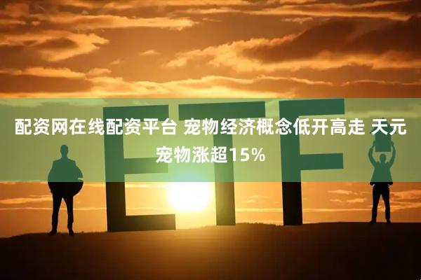 配资网在线配资平台 宠物经济概念低开高走 天元宠物涨超15%