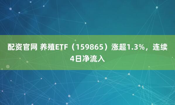配资官网 养殖ETF（159865）涨超1.3%，连续4日净流入